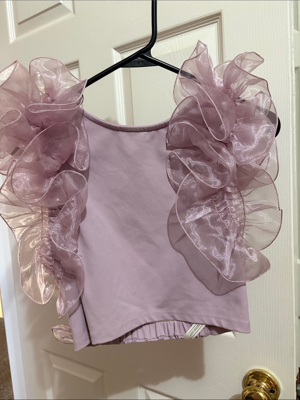Sheer Ruffle Sleeve Crop Top - Lavender